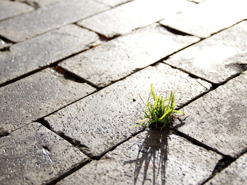 L&rsquo;Urbanisation en Charente : Concilier Dynamisme Territorial et Préservation des&nbsp;Espaces