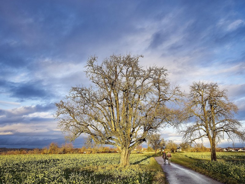 Changements Climatiques en Charente : Anticiper, Adapter, Agir pour un Territoire&nbsp;Résilient