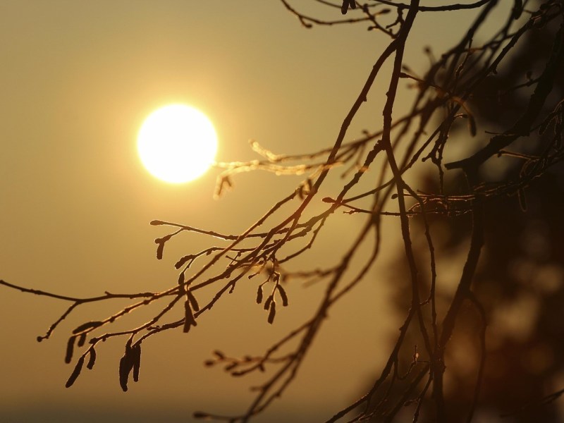 Les Canicules en Charente : Une Réalité Croissante, des Impacts Profonds et des Stratégies d&rsquo;Adaptation Urgentes