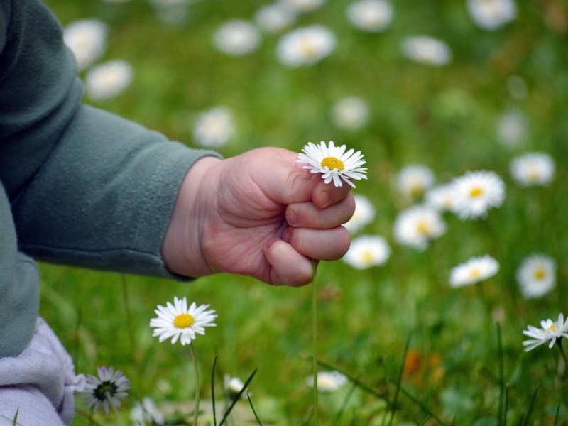 Les Écogestes du Quotidien en Charente : Petites Actions, Grands Impacts&nbsp;!