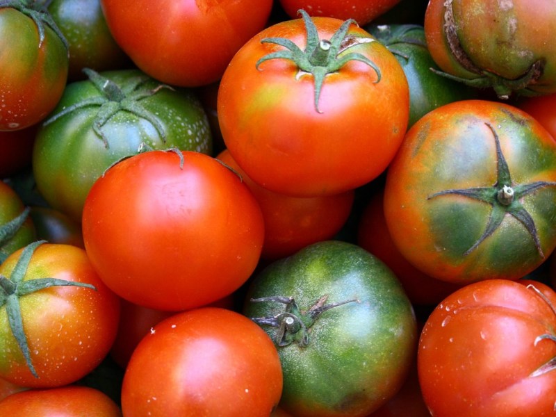 Du Champ à l&rsquo;Assiette : Soutenir les Producteurs Locaux Engagés pour la Nature en&nbsp;Charente