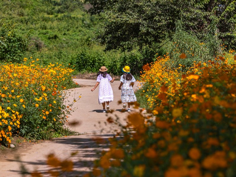 L&rsquo;Aventure Nature en Charente : Des Explorations Inoubliables et Sensorielles pour Tous les&nbsp;Enfants